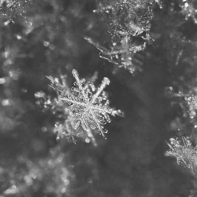 Captured this snowflake in my backyard in the Orchards on Monday!