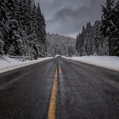 This picture was taken on Dec. 10, 2016,&nbsp;on Highway 3 just outside of Bovill, Idaho. A fresh snow, from the night before, covers every limb of the many pine along this scenic norther Idaho highway. Photo by Max Moore