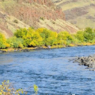 Coming down the the Grande Ronde, I saw this lone fly fisherman making a cast hoping catch a steelhead for the dinner table. It was quite there with only the sound of the river to enhance his thoughts of big fish. 
Jerry Cunnington   11/3/22.