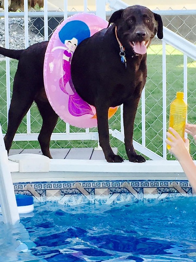 Sophie loving the Pool
