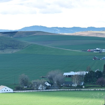 Green is the theme looking from the Lewiston Orchards to Waha.