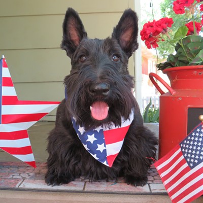 Happy Independence Day from Willa Peace, Orofino, Idaho! This bonnie lass is happily enjoying the July 4th holiday in "the land of the free, and the home of the brave(heart)." Please join Willa in celebrating America's "FREEEDOMMM!" Le Ann Wilson snapped this patriotic picture on July 2.