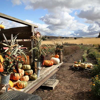 Picture taken on Saturday, October 5, 2019 by Keith Collins of one of the displays of pumpkins, gourds, dried flowers and other decorations at Stratton's Cutting Farm on Old Moscow Road East of Pullman, Washington.