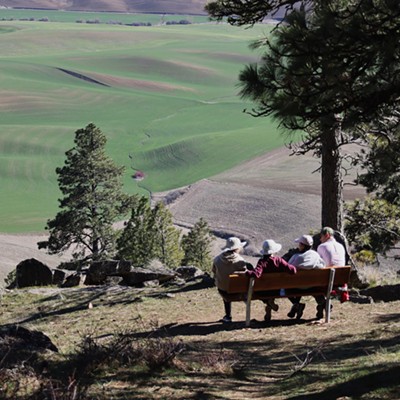 Hikers on the trail in Kamiak Butte County Park take advantage of a strategically located bench to rest and enjoy the brilliant view looking south over the Palouse.  Picture taken on Sunday, March 17, 2024.