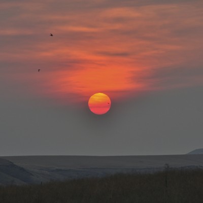 Sunrise, Lewiston, Idaho on Aug. 2, 2015. Birds fly over the sun. By Gail Craig.