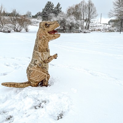 T. Rex  snow play