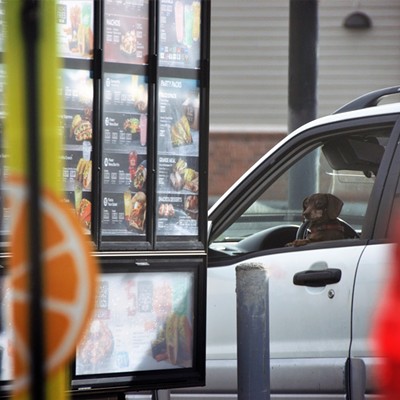 We were waiting in line at a new fast food restaurant in Clarkston and observed this dog looking like he was ready to order. Taken March 2, 2018 by Mary Hayward.