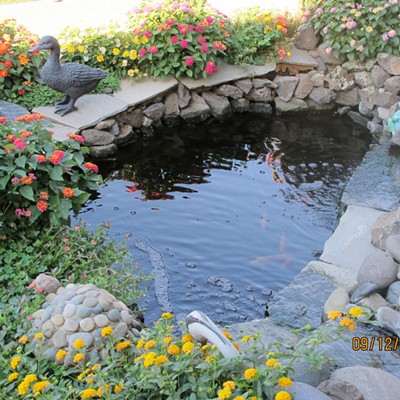 The pond my late husband, John, and his friend built.  He so loved his pond and fish.