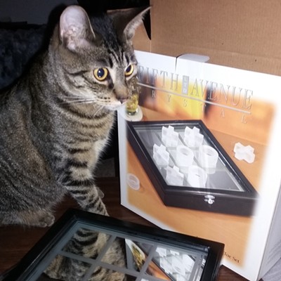 My kitty,&nbsp;Georgia, checks out&nbsp;a Tic Tac Toe set. Georgia is 17 months old. Photo by Darlene Simpson of Lewiston. Taken Nov. 25, 2016.