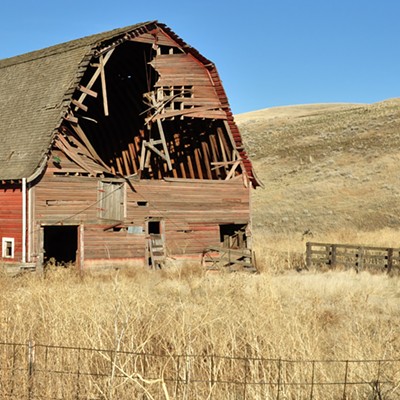 Came across this barn near Dayton, Wa. looked like it had worked past retirement and no chance of reentering the work force. By Jerry Cunnington, 11/2020.