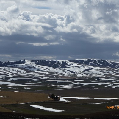 Toward the end of Palouse winters the pattern of melting snow leaves these stripes on the Palouse hills. Photo by Sarah Walker, Mar 9, near Moscow