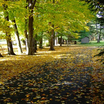 In October 2009 my wife and were visiting family and friends and the fall colors. We had been to a vegetable display when noticed this scene across the road and got this shot of it. The trees, the light and shadow, colors, it all fascinated me.
By Jerry Cunnington.