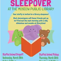 Stuffed Animal Sleepover