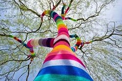 People invited to "Yarn Bomb" Moscow Library