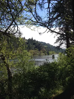 A 2015 scenic morning puke stop along the Clearwater River resulted in stunning river views like this one