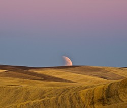 Recording the rolling hills: The Palouse shines as a photography hot spot