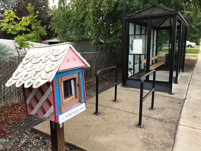 Little library stewards see patterns and find surprises