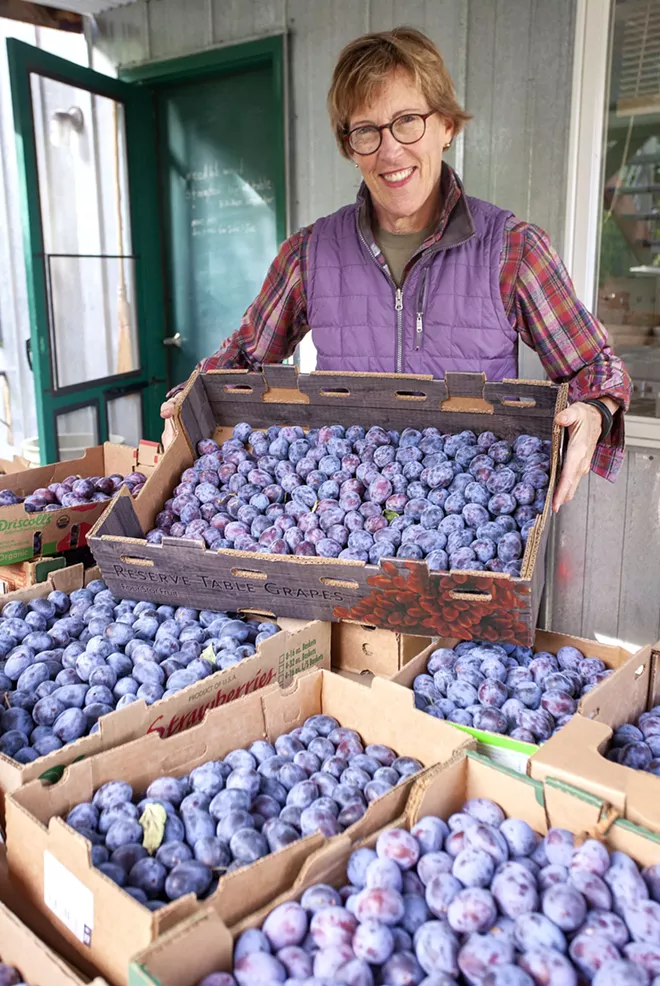 Jeanne Leffingwell has collected a variety of recipes that use the Italian prune plums she picked from trees outside her home on Monday in Moscow. - GEOFF CRIMMINS/DAILY NEWS