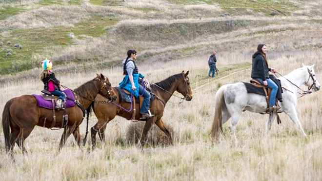 Horse Sense: Rules for sharing area trails with horses