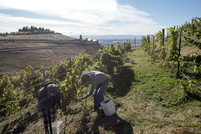 11 Reasons to Love the Lewiston-Clarkston Valley