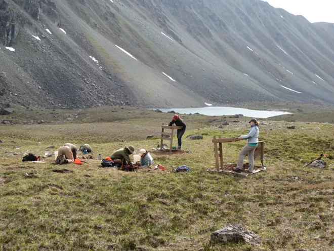 This photo shows a site at the Susitna River basin in Alaska that John Blong, assistant professor of anthropology at Washington State University, has been working at for many looking for the earliest evidence for hunter-gatherers in the Alaska Range. - JOHN BLONG