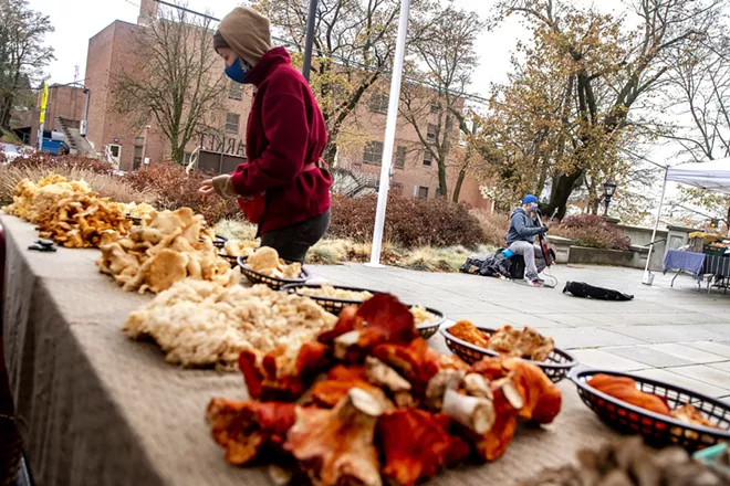 Martin Watkinson plays electric cello as Jenny Parker, of Wing Over Farm, looks over a selection of mushrooms at Josh Yake's booth Gourmet Foragables & More on the first day of the Moscow Winter Market at the 1912 Center in 2020. - AUGUST FRANK/360