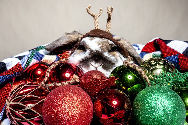 Pets as presents: Proceed with caution