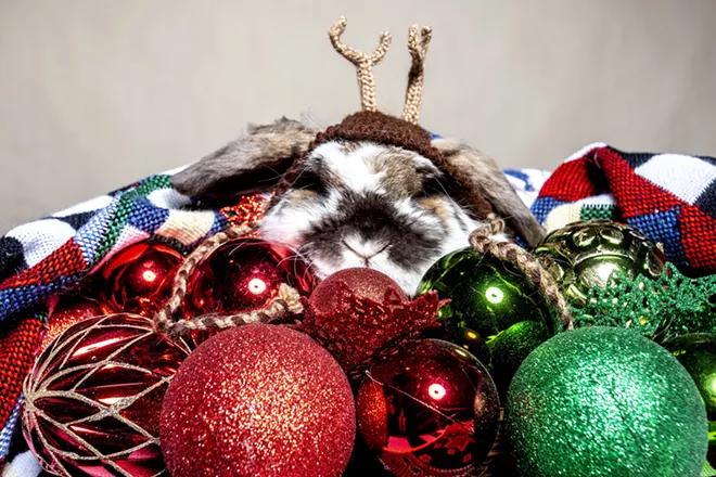 Pets as presents: Proceed with caution