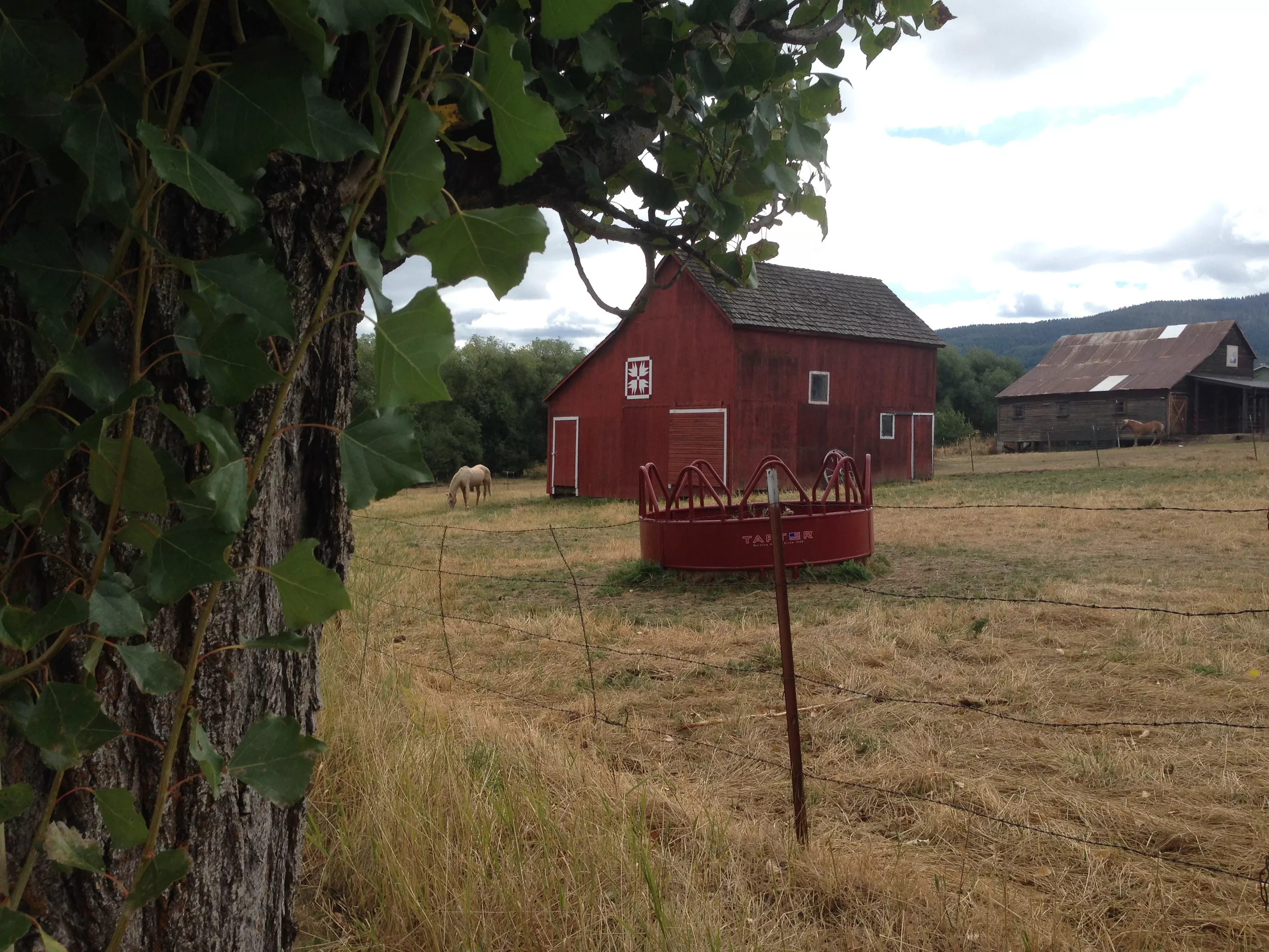 Quilting Barnside Barn quilts hit the region as a tribute to heritage