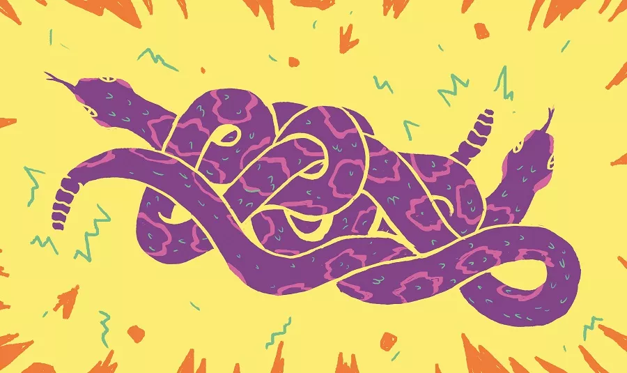 Two cautionary tales of close encounters with the rattling kind