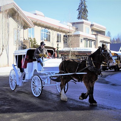 We went to McCall to see the annual ice sculpting event and this horse and buggy giving rides for a tour around town. Taken by Mary Hayward of Clarkston January 25, 2019.