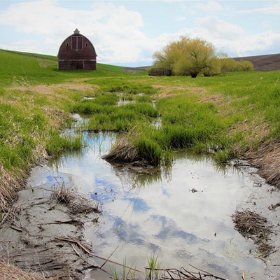 This beautiful old barn was found on the Palouse near Genesee, April 18, 2017. Taken by Mary Hayward of Clarkston.