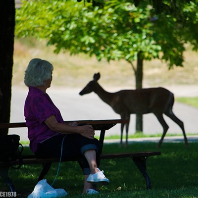 Grandma at a park takes a short break from knitting to watch a random deer roaming through the park. Photo taken Aug. 1, 2016 by Scott Brice of Hayden, Idaho.