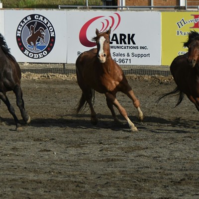 Horses running at the Asotin County Rodeo  April 2016   Photographer Mary Hayward of Clarkston