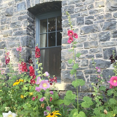 August gardens at the Monastery of St. Gertrude. August 7, 2016. Photo by Theresa Henson