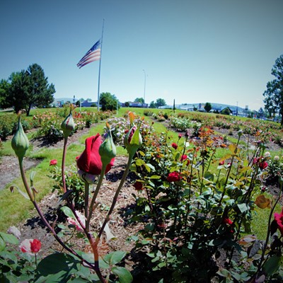 We visited the Rose Garden in North Lewiston on Memorial Day, trying to capture the flag for this special day. Mary Hayward of Clarkston captured this May 29, 2017.