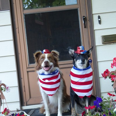 Cricket and Cheyenne, ready to celebrate the 4th of July