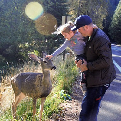 Our son, Richard, and his daughter, Lila, found a very friendly young deer at Wallowa Lake State Park. Lila was so excited that the deer wanted to touch her. Taken Sept. 25, 2018 by Mary Hayward of Clarkston.