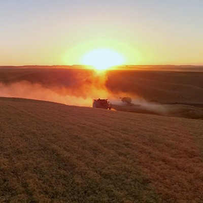 Combines hurry to get the crop in as the sun sets on another day of harvest, south of Genesee. Photo by Chris Moser of Lewiston.