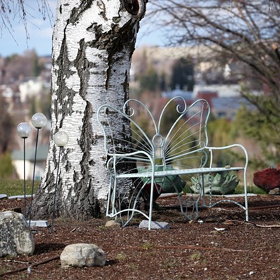 Graceful bench for sitting, two at a time, leaving the cares of the world behind, a comforting tree nearby for shade and natural wind chimes. Photo taken by Keith Collins on SE Crestview in Pullman, Washington on 02 April, 2020.
