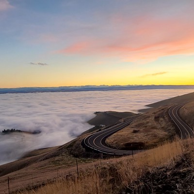 This photo was taken by maddisym stout on Thursday, November 26 on top of the Lewiston hill. The blanket of fog with the sunset in the background was an breath taking experience!
