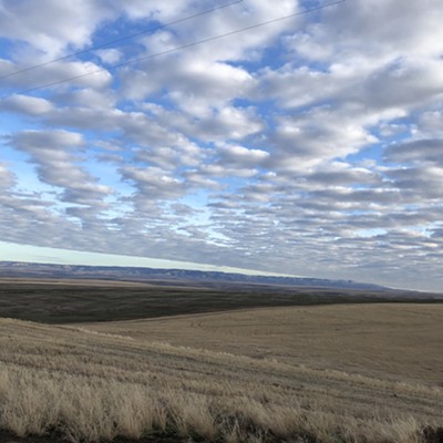 Resolving to have an optimistic new year - 2021.
    
    The blue sky is there with only fluffy 'sheep' clouds working their way across the landscape. This view was snapped looking East from Peola Road southwest of Clarkston, WA. It was taken on January 14, 2021 by Karen Purtee of Moscow.