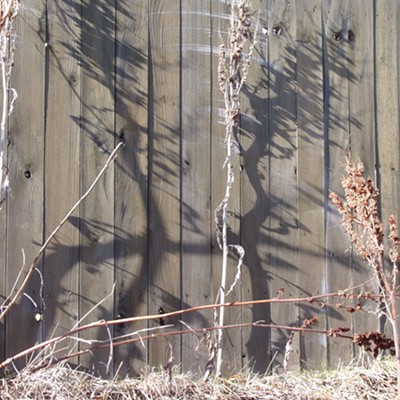 No words needed, just shadows and weeds along a Moscow fence on February
2nd.!