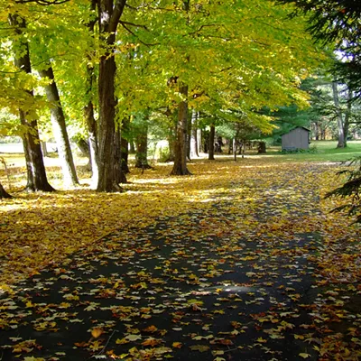 In October 2009 my wife and were visiting family and friends and the fall colors. We had been to a vegetable display when noticed this scene across the road and got this shot of it. The trees, the light and shadow, colors, it all fascinated me.
By Jerry Cunnington.