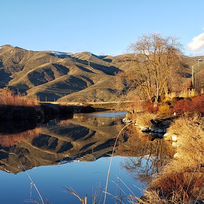 Reflections of the Lewiston/Clarkston hills in one of the levy ponds along the Snake River on January 20, 2022.