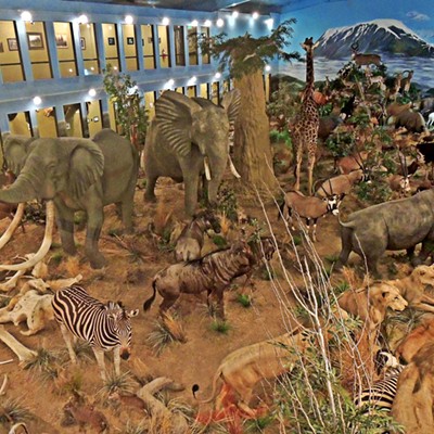 This image of a diorama of African animals was taken on March 20, 2022 by Leif Hoffmann (Clarkston, WA), when visiting the Lasting Legacy Wildlife Museum in Ritzville, WA, with his family.