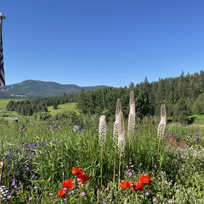 Decided to add Old Glory to the picture.
Ornamental red poppies, white foxtails and our brilliant blue Idaho sky with Moscow Mountain in the distance.