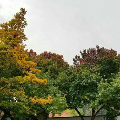 The trees fall make downtown Lewiston look like a rainbow.  This picture was taken in late October.
