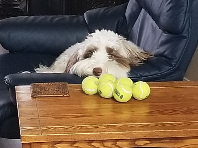 Is it time to play ball yet?