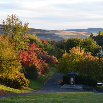 Fall Colors at the University of Idaho Arboretum. samiksha gupta.